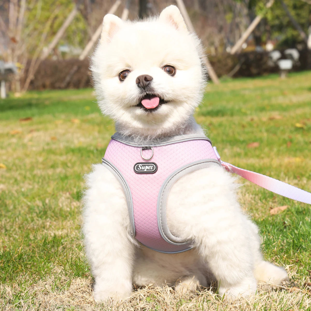 Dog Harness SYNE™️