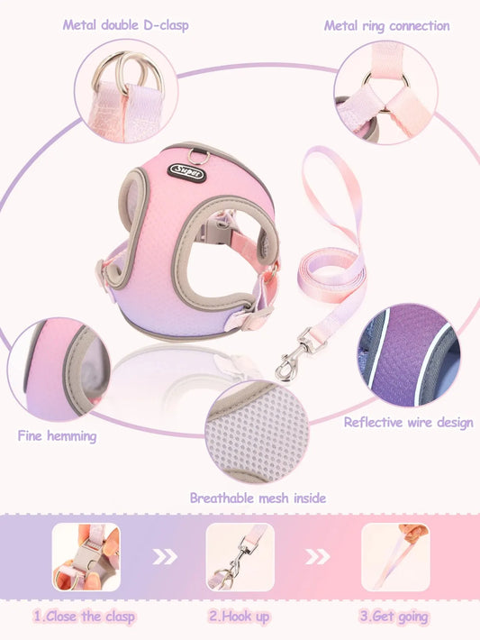 Dog Harness SYNE™️