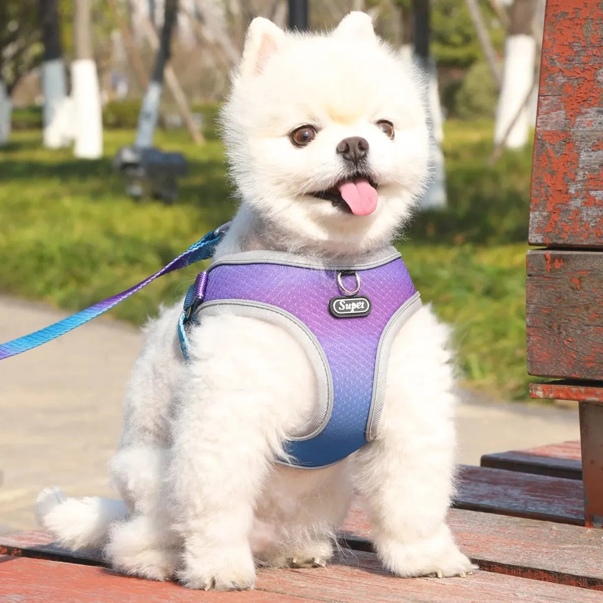 Dog Harness SYNE™️