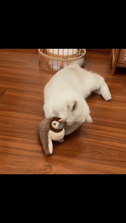 Flapping Bird Cat Toy
