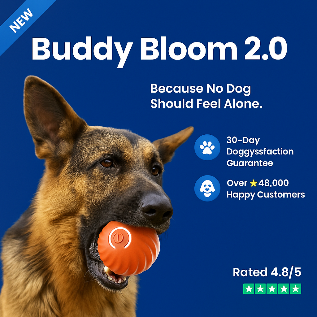 Buddy Bloom 2.0