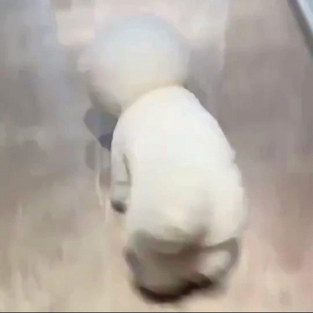 Automatic Rolling Ball