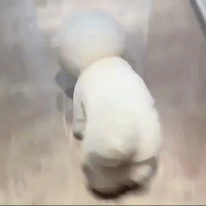 Automatic Rolling Ball