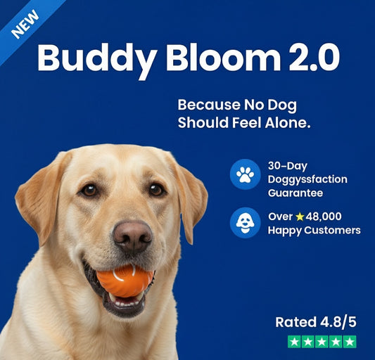 Buddy Bloom 2.0