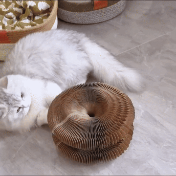 Magical Cat Scratching Toy SYNE™