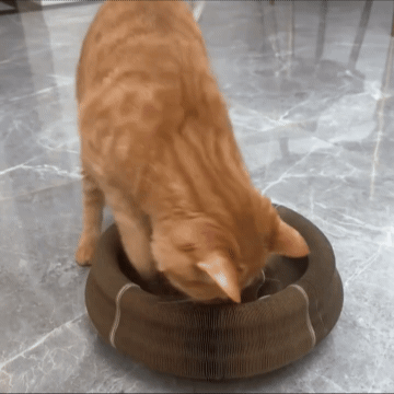 Magical Cat Scratching Toy SYNE™