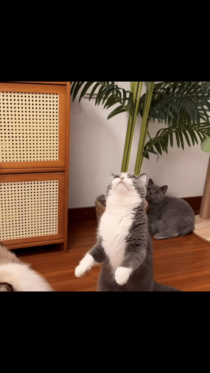 Flapping Bird Cat Toy