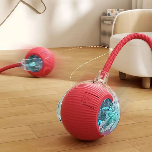 Automatic Dog Walker