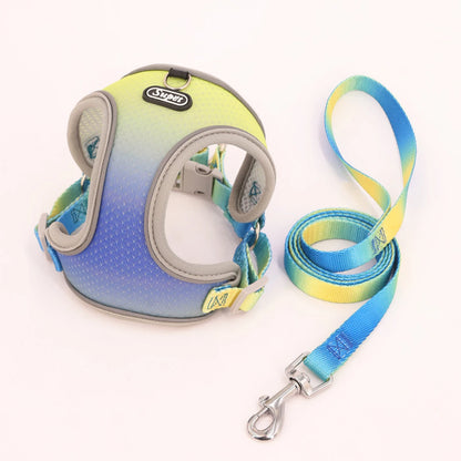 Dog Harness SYNE™️