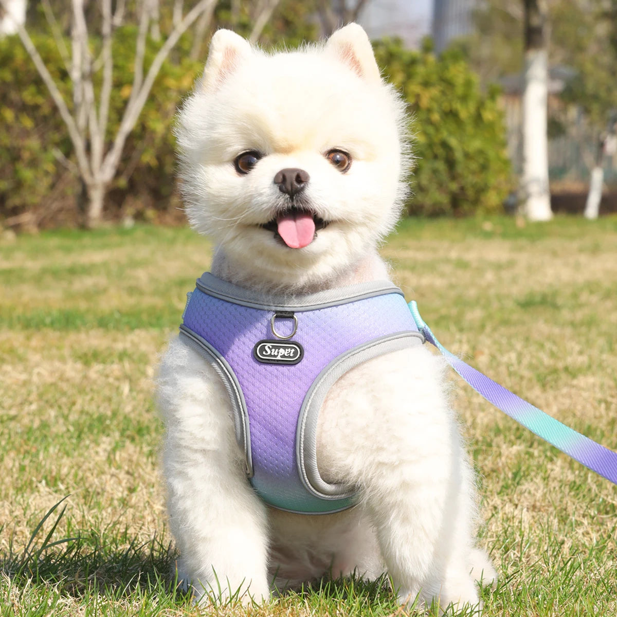 Dog Harness SYNE™️