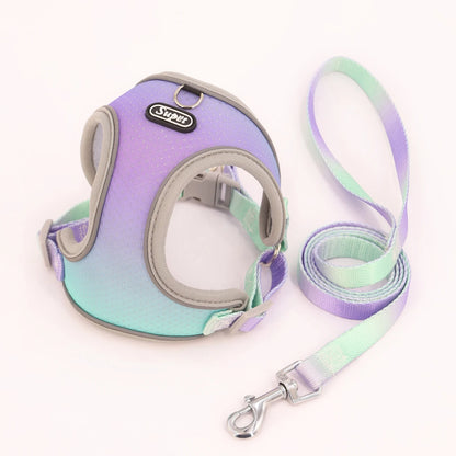 Dog Harness SYNE™️