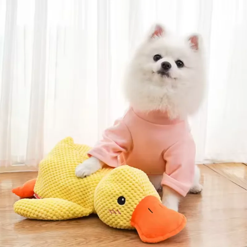 Calming Duck by SYNE
