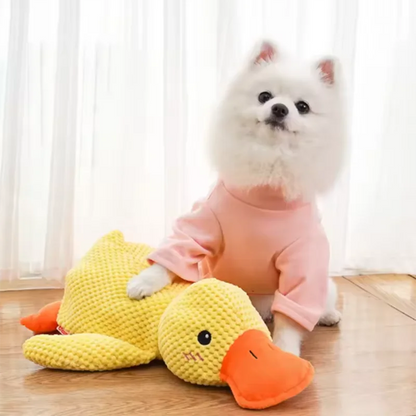 Calming Duck by SYNE