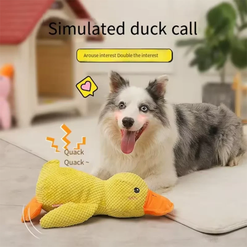Calming Duck by SYNE