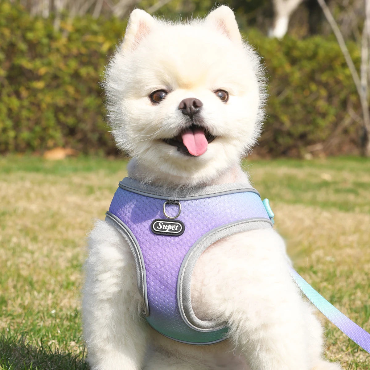 Dog Harness SYNE™️