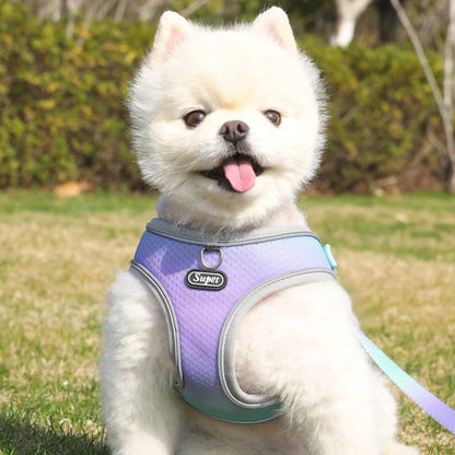 Dog Harness SYNE™️