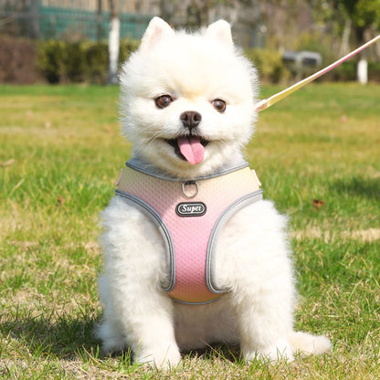Dog Harness SYNE™️