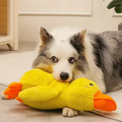 Calming Duck by SYNE