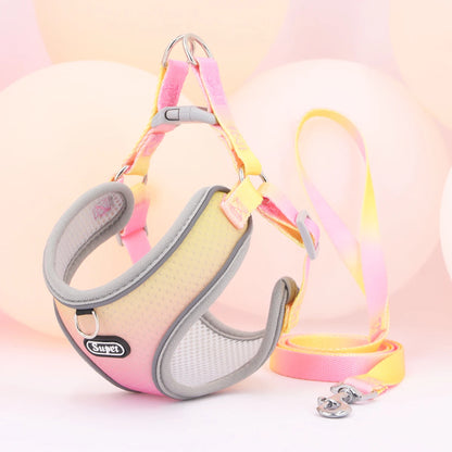 Dog Harness SYNE™️