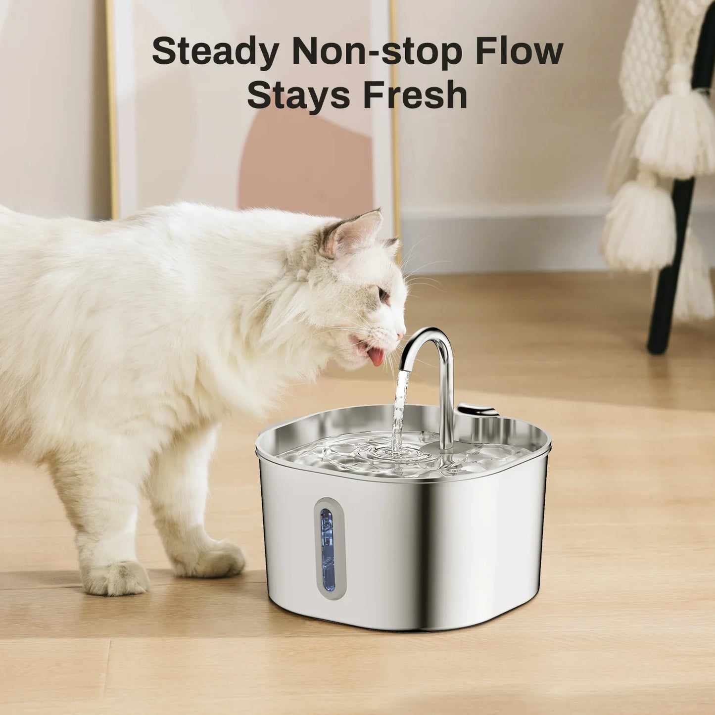 Protect your cat from dehydration and urinary emergencies with SYNE