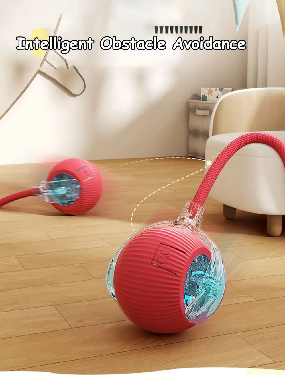 Automatic Dog Walker