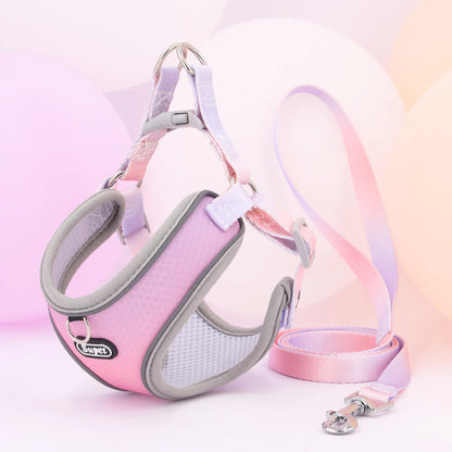 Dog Harness SYNE™️