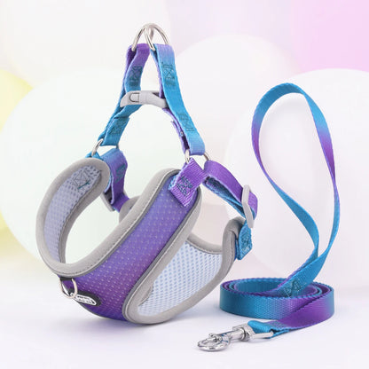 Dog Harness SYNE™️