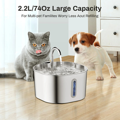 Protect your cat from dehydration and urinary emergencies with SYNE