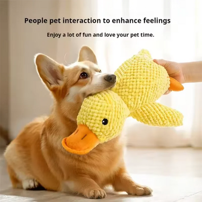 Calming Duck by SYNE
