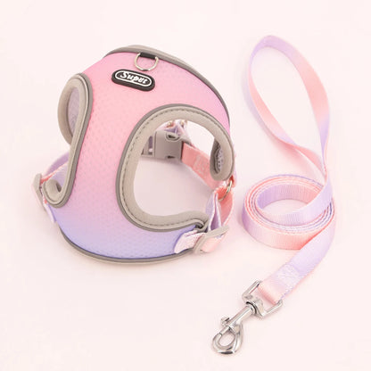 Dog Harness SYNE™️