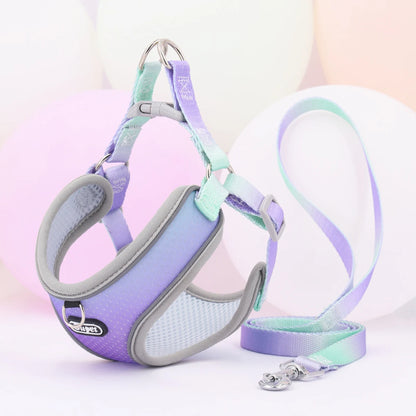 Dog Harness SYNE™️
