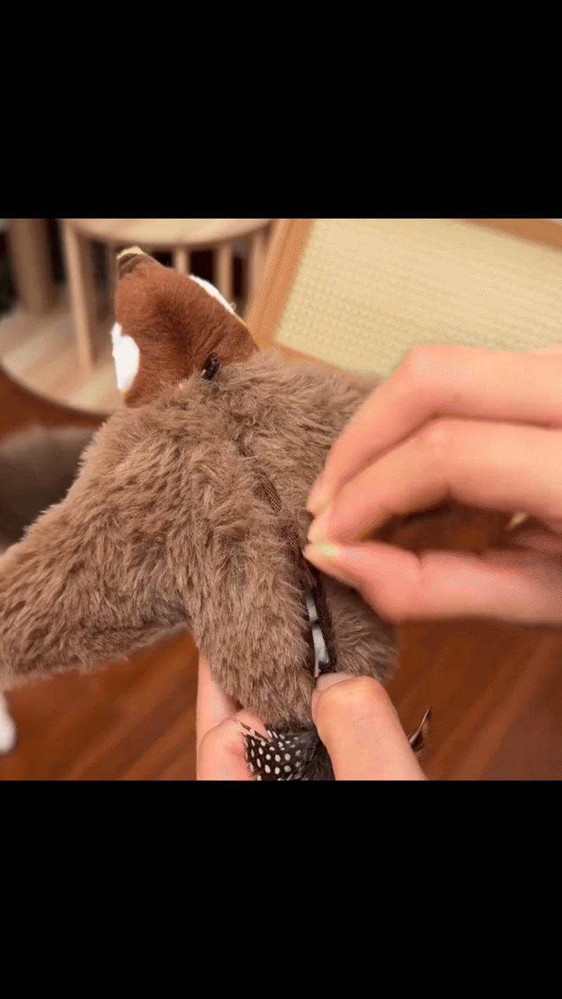 Flapping Bird Cat Toy