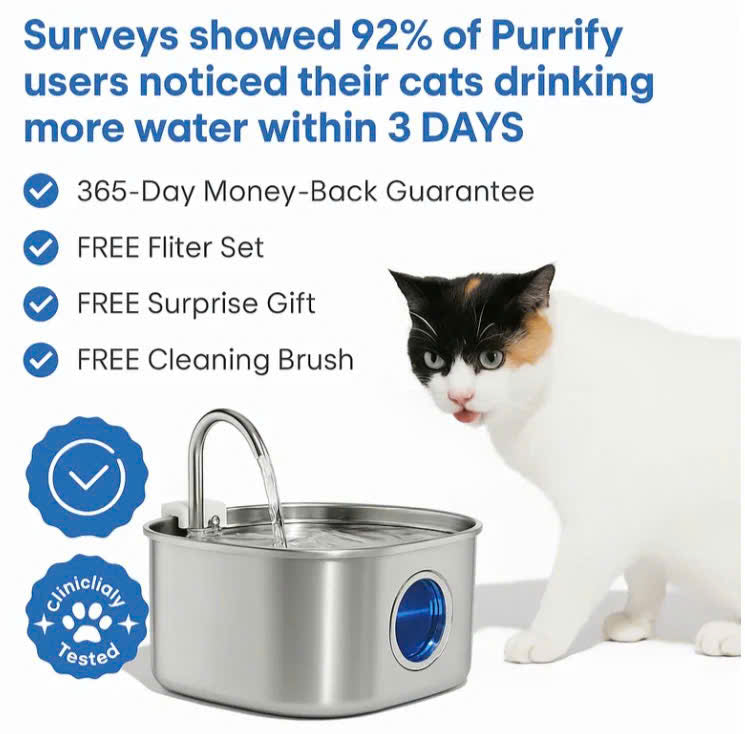 The SYNE™ Fountain