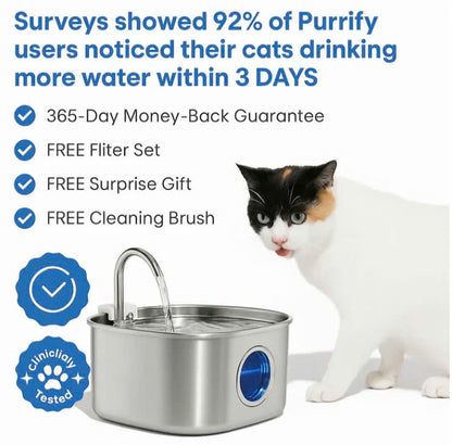 The SYNE™ Fountain