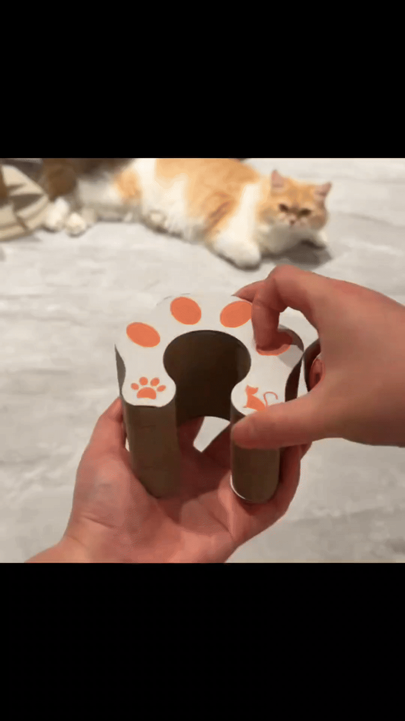 Magical Cat Scratching Toy SYNE™