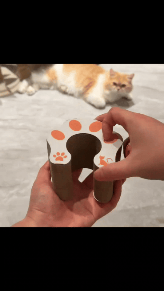 Magical Cat Scratching Toy SYNE™
