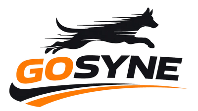 SYNE LLC