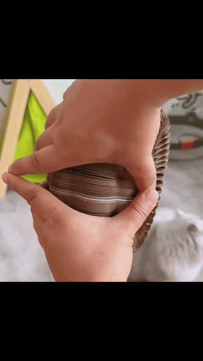 Magical Cat Scratching Toy SYNE™