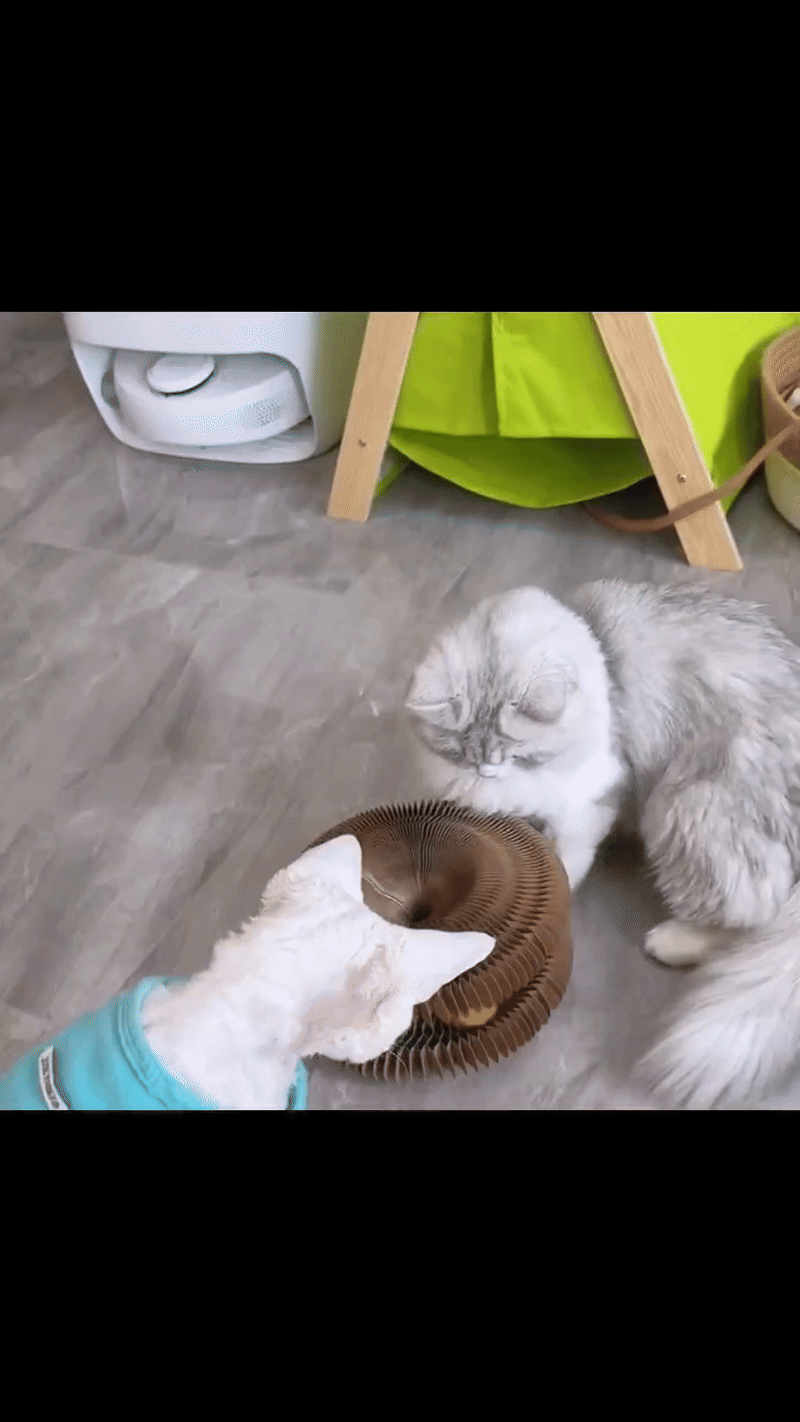 Magical Cat Scratching Toy SYNE™