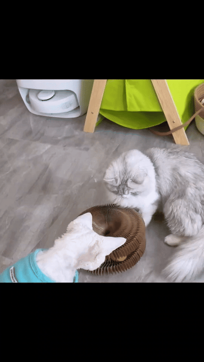 Magical Cat Scratching Toy SYNE™