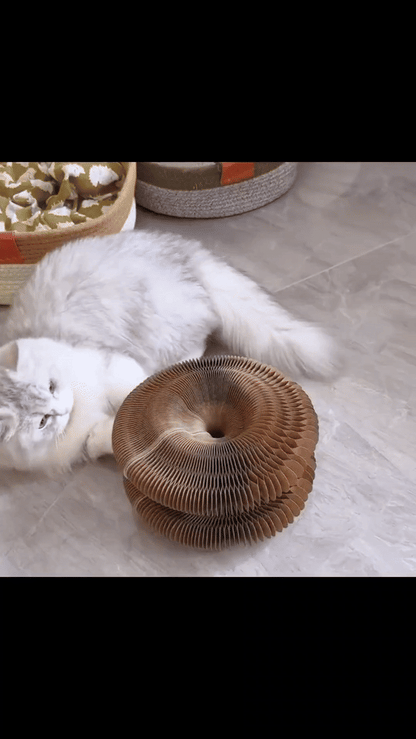 Magical Cat Scratching Toy SYNE™